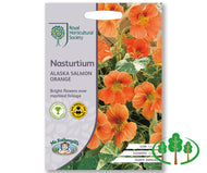 RHS-NASTURTIUM Alaska Salmon Orange