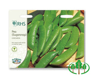 RHS-PEA (Sugarsnap) Cascadia