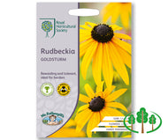 RHS-RUDBECKIA Goldsturm