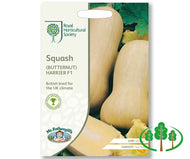 RHS-SQUASH (butternut) Harrier F1