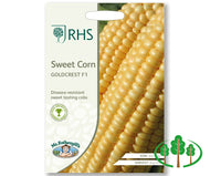 RHS-SWEET CORN Goldcrest F1