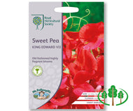 RHS-SWEET PEA King Edward VII