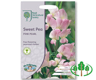 RHS-SWEET PEA Pink Pearl