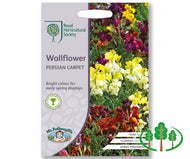 RHS-WALLFLOWER Persian Carpet