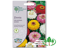 RHS-ZINNIA Oklahoma Mix