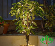 Solar String Lights - 200 Warm White LED