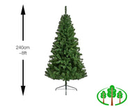 240cm Northcote Pine Tree