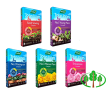 Load image into Gallery viewer, Westland John Innes Compost - 28L Bag
