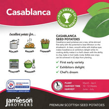 Load image into Gallery viewer, Casablanca 2Kg
