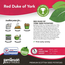 Load image into Gallery viewer, Red Duke Of York 2Kg
