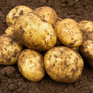 Maris Piper 2Kg
