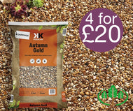 Autumn Gold - Chippings
