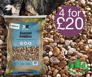 Coastal Pebbles