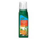Westland Cacti & Succulent Feed Concentrate 200ml